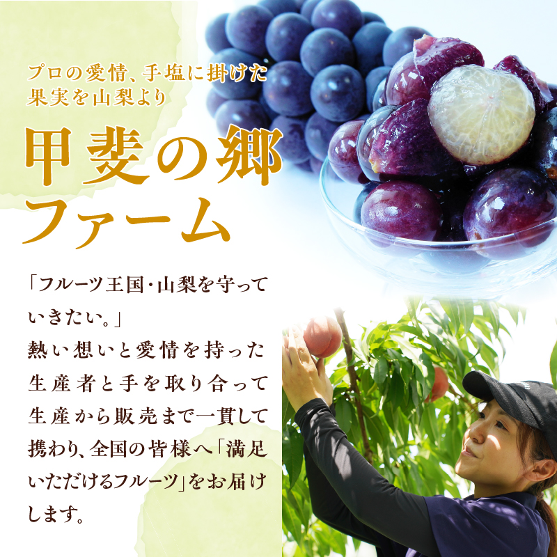 【定期便】新鮮産直甲州市！旬の果物3品定期便【2025年発送】（KSF）D-126