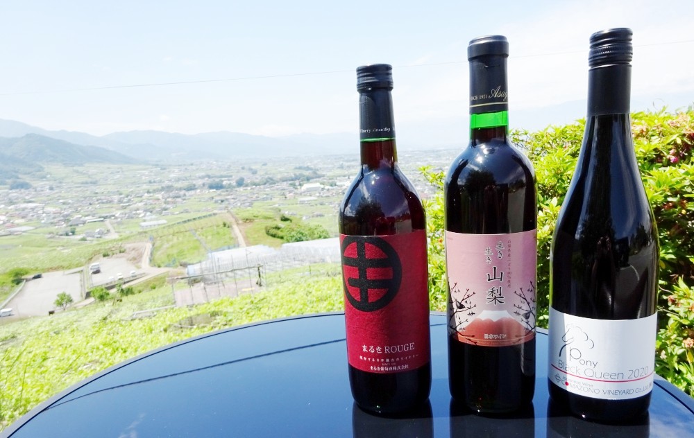 自宅で気軽に日本ワイン赤白2本セット(MG) B-690