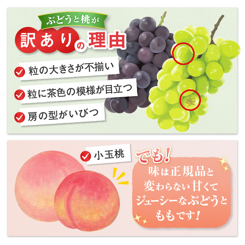【定期便】訳あり 山梨の桃と黒ぶどう・シャインマスカット全3回【2025年発送】（AGB）C6-875