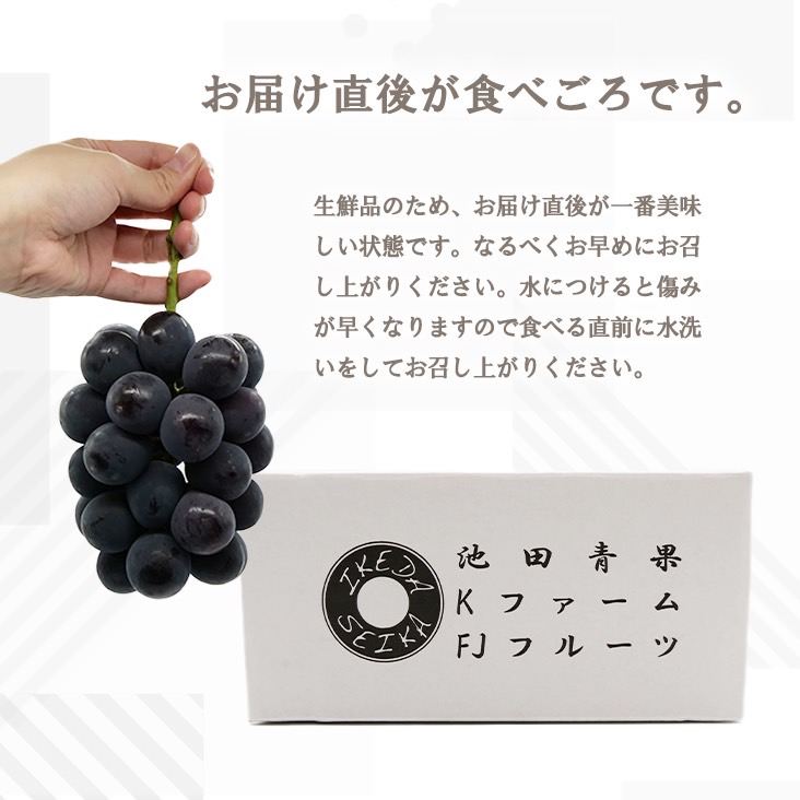 厳選 池田青果 巨峰 1.0kg以上 2房入り【2025年発送】（IS）B-468