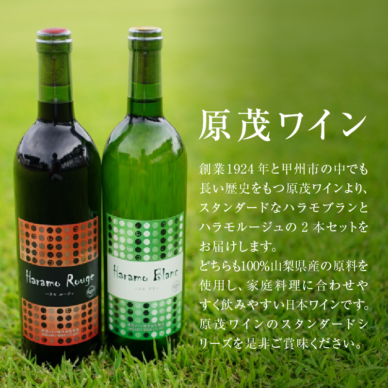 原茂ワインのスタンダードワイン赤白２本セット(MG) B12-652