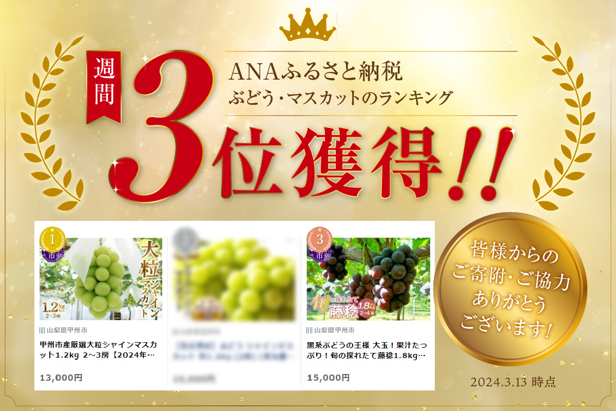 大玉！果汁たっぷり！！旬の採れたて藤稔 1.8kg以上（2房～4房）【2026年発送】（HO）B12-147