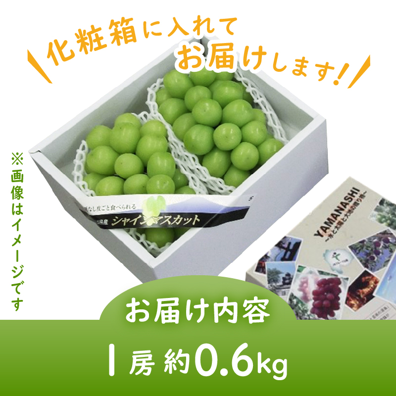 JAフルーツ山梨 甲州市産シャインマスカット 1房【60】【2025年発送】B-107