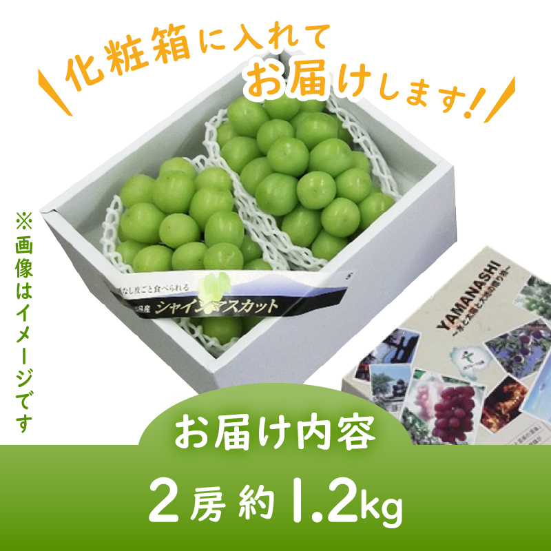 JAフルーツ山梨シャインマスカット2房【80】【2025年発送】B15-102: 甲州市ANAのふるさと納税