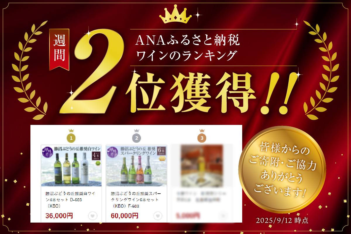 勝沼ぶどうの丘推奨スパークリングワイン6本セット（KBO）F-603