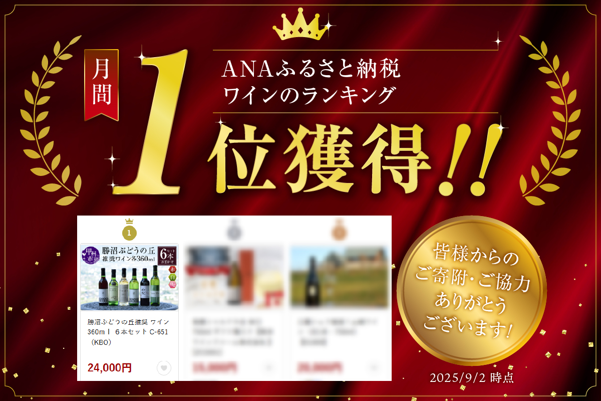 勝沼ぶどうの丘推奨 ワイン 360ｍｌ ６本セット C-651 （KBO）