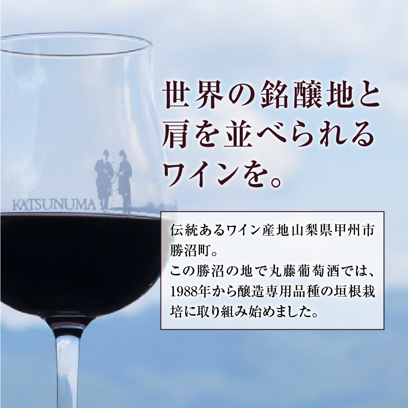 プティ・ドメーヌ ルバイヤート 赤ミディアムボディ1本 C-618 （KBO）