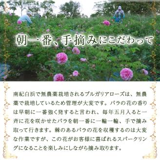 バラ梅酒 スパークリング　720ml（AZF）B-718