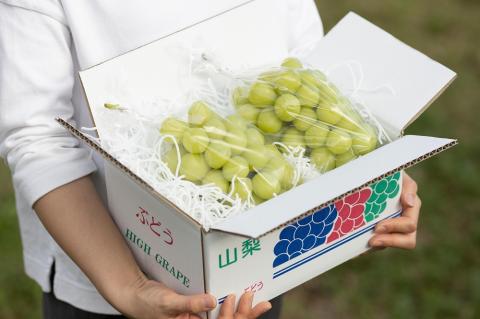 D-109．甲州市産旬のフルーツ定期便３回計3.3kg (RO)