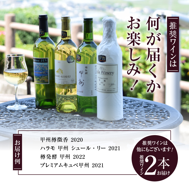 勝沼ぶどうの丘推奨 白ワイン2本セット（KBO）B2-614