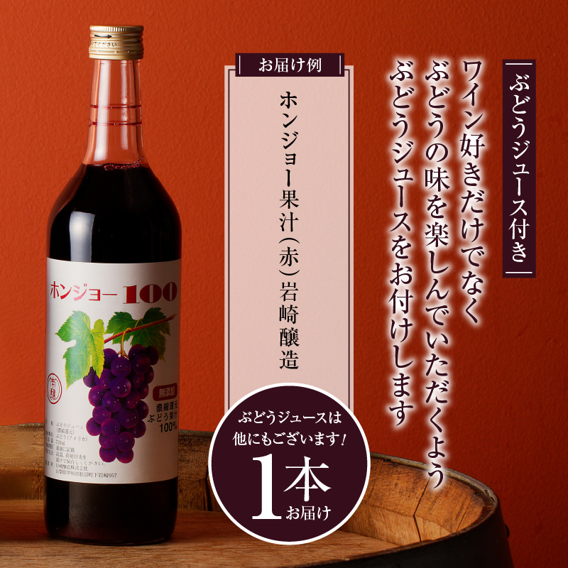 ぶどうの恵みセット　赤白ワイン（各１本）とぶどうジュース１本セット（KBO）C-653