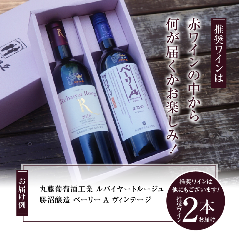 勝沼ぶどうの丘推奨・赤ワイン2本のギフトセット C-659 （KBO）
