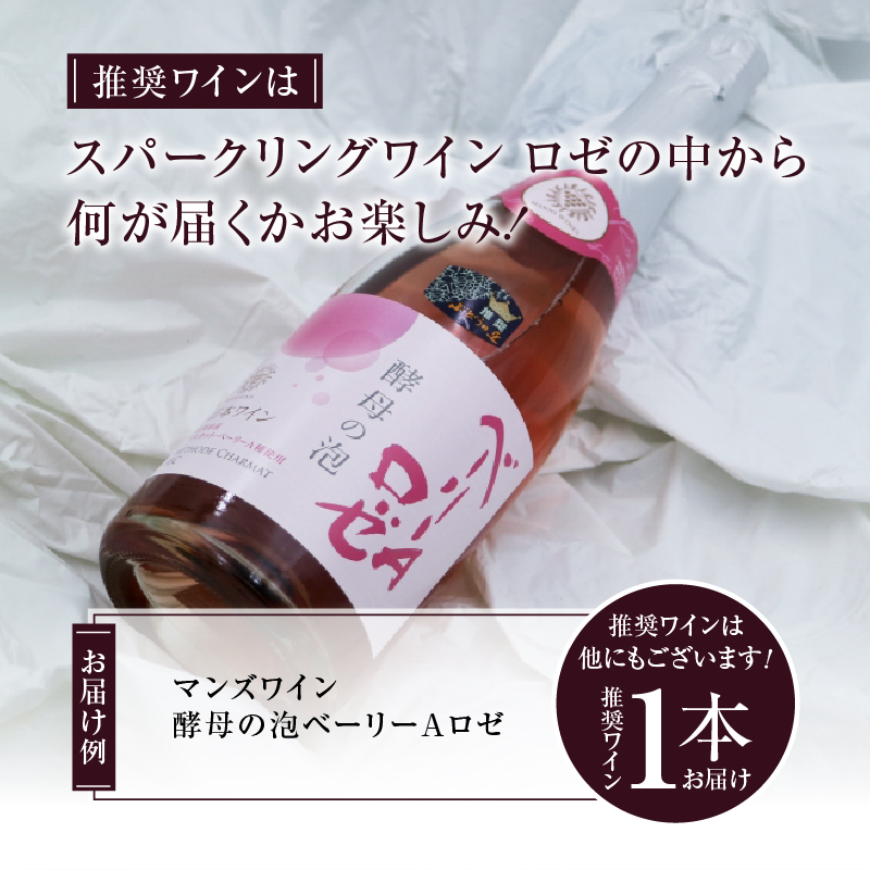 勝沼ぶどうの丘推奨 スパークリングワイン ロゼ1本（KBO）B-684