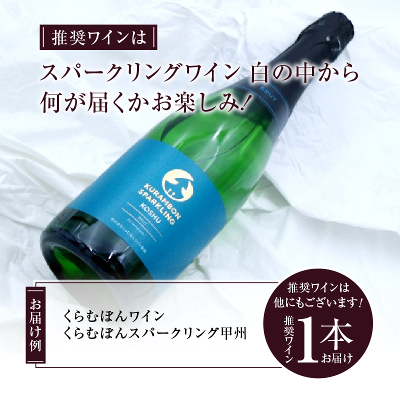 勝沼ぶどうの丘推奨 スパークリングワイン 白 1本（KBO）B-681