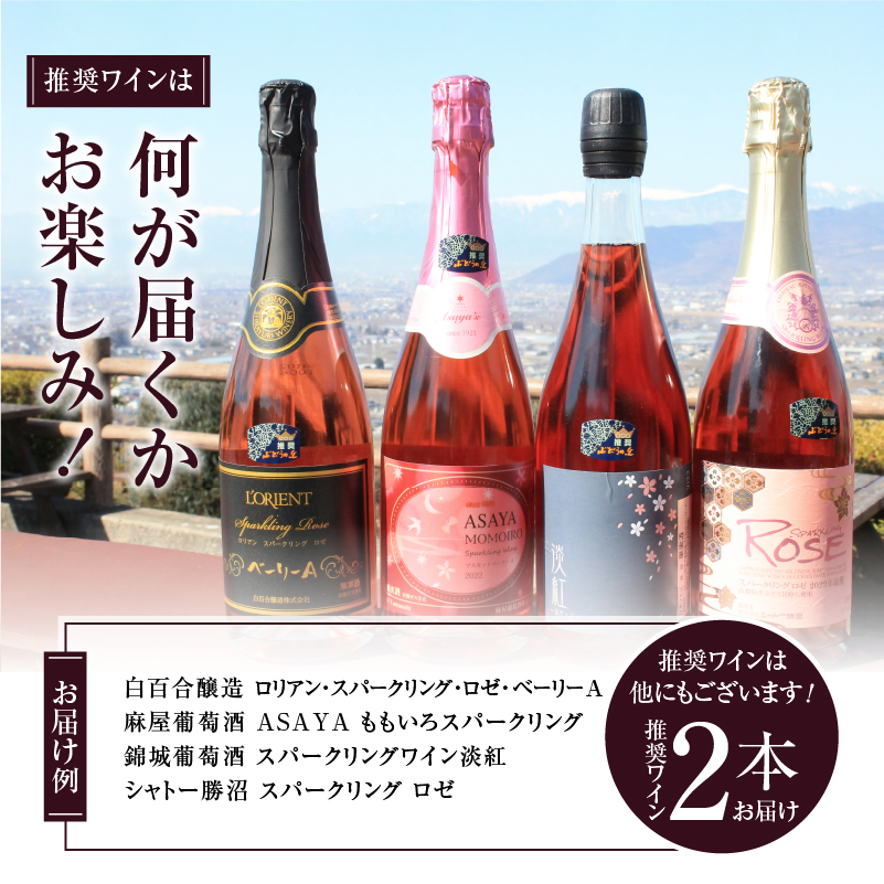 勝沼ぶどうの丘推奨 スパークリングワイン ロゼ 2本セット（KBO）B17-603