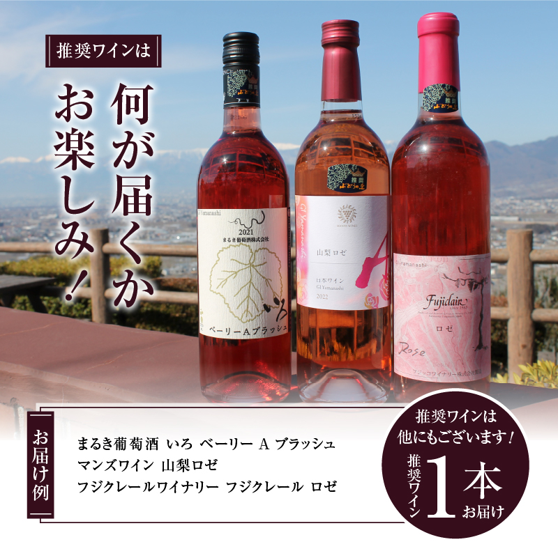 勝沼ぶどうの丘推奨 ロゼワイン（辛口）1本（KBO）B11-601