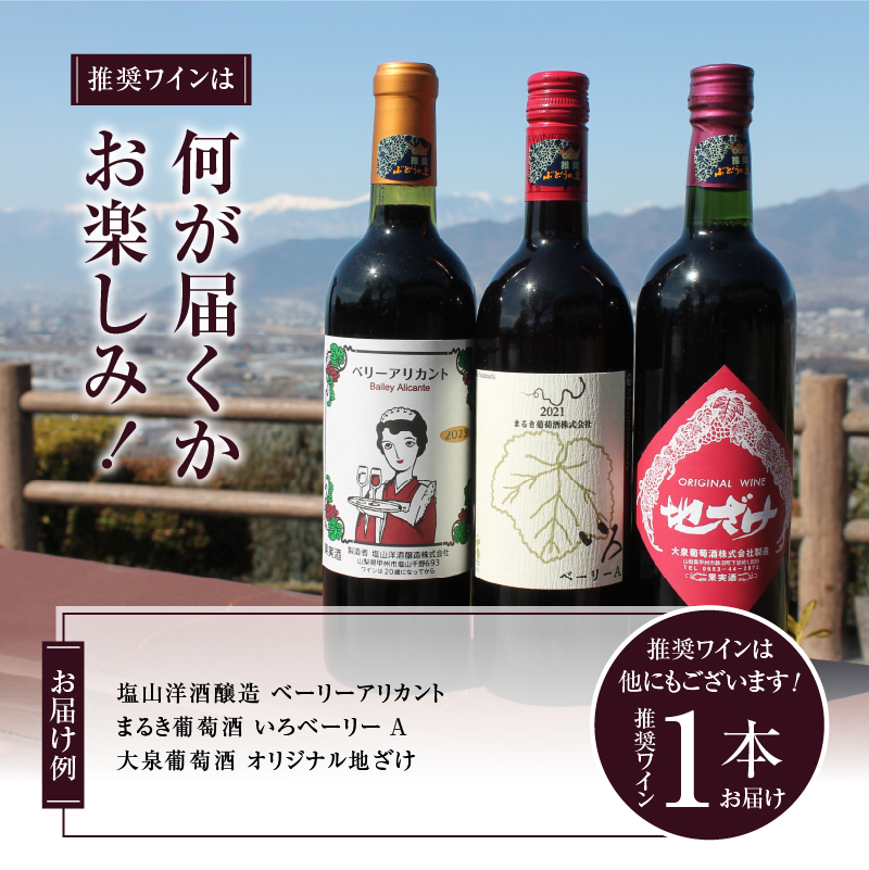 勝沼ぶどうの丘推奨 赤ワイン（ライトボディ）1本（KBO）B11-603