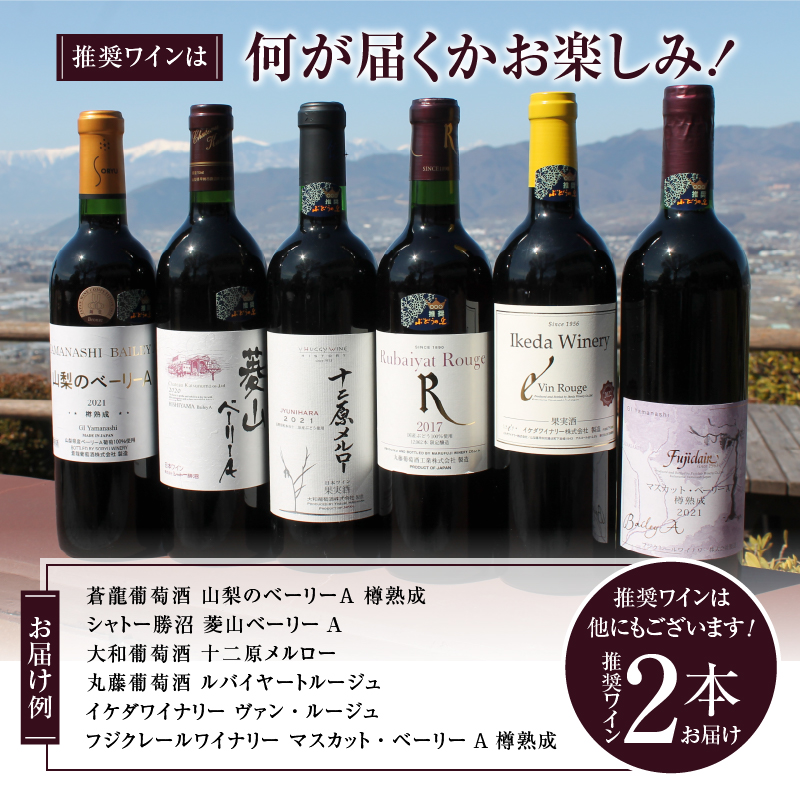 勝沼ぶどうの丘推奨 赤ワイン（ミディアムボディ）2本セット（KBO）B18-601