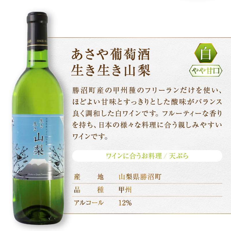 麻屋葡萄酒テーブルワイン赤白2本セット(MG)　B-696