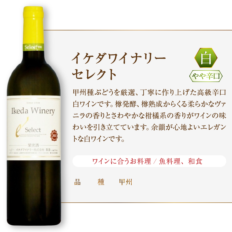 イケダワイナリー 2本セット【ヴァン・ルージュ / セレクト白】（MG）B14-663