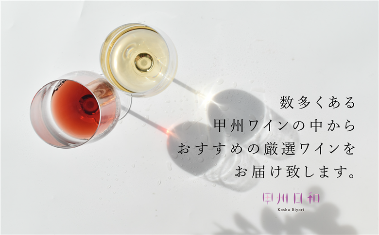 甲州市 イチ押し！ワイン12本セット（KSB）K9-621