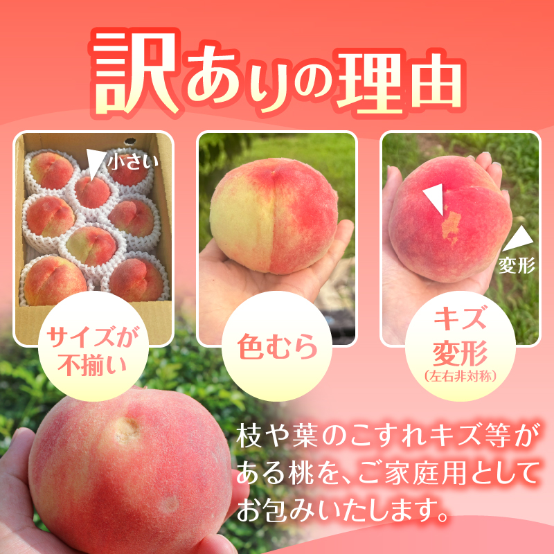 【訳あり】桃の里 旬の桃 2kg以上（5～8玉）【2025年発送】（HK）B-443