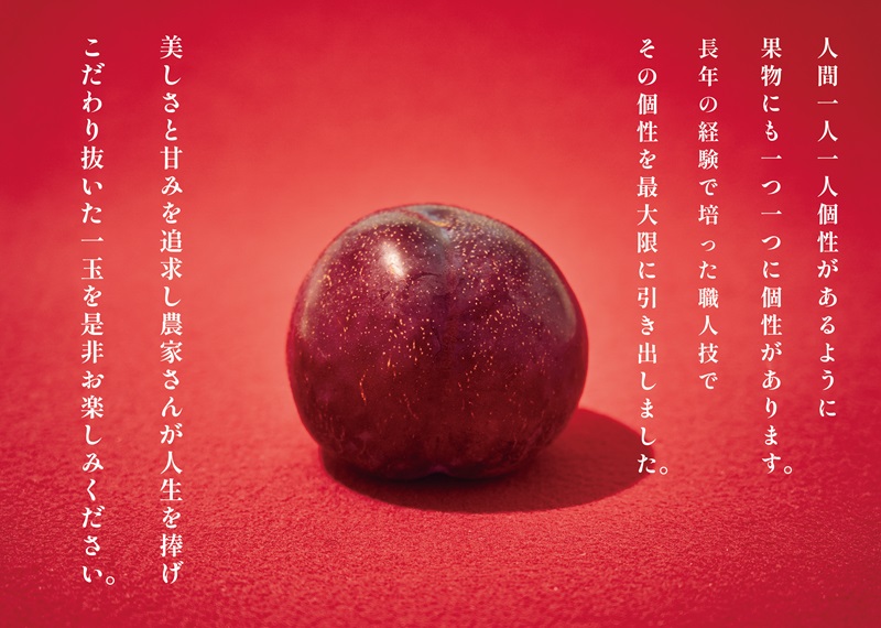 甲州市産 訳あり貴陽 約3kg 自然農法【2025年発送】（BNC）C9-492