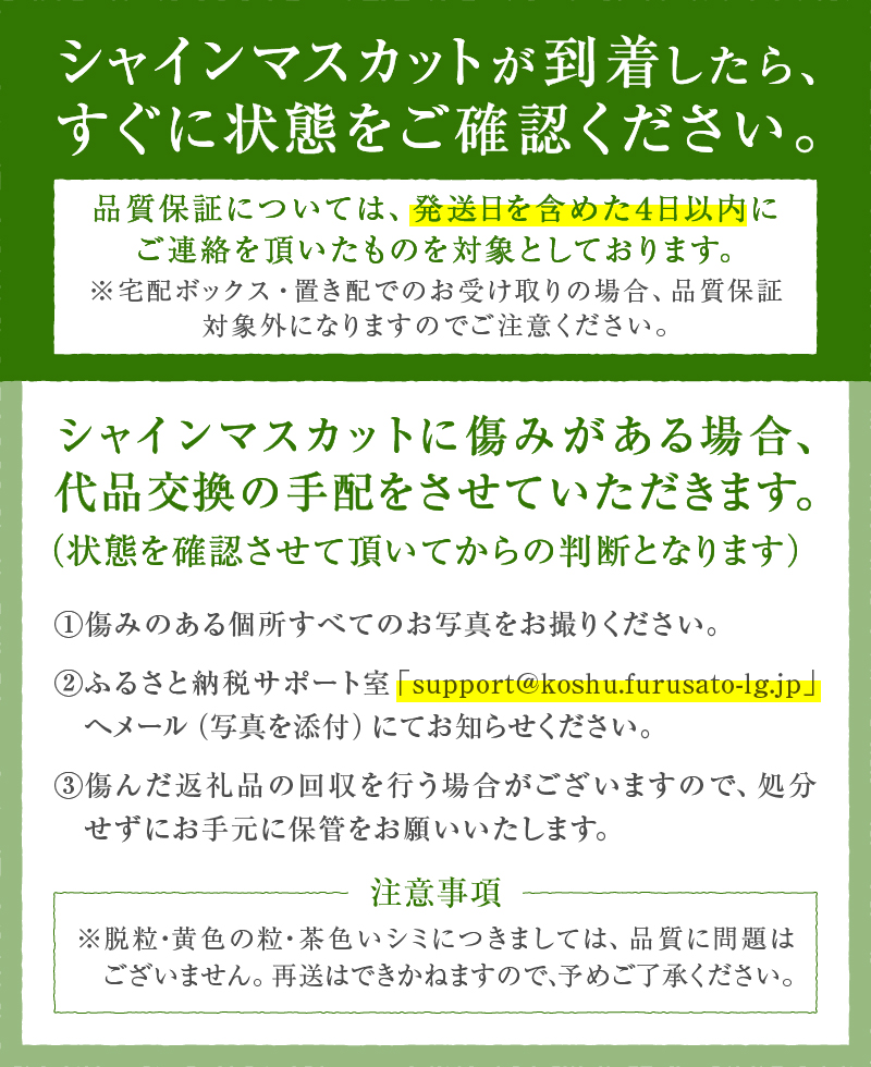 頬張る幸福感 ～緑の宝石・シャインマスカット～ 1.2kg以上（2～3房）【2026年発送】（RG）B-843