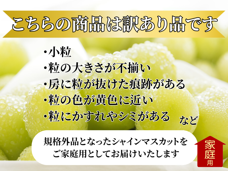 【訳あり】山梨県産旬のシャインマスカット 1kg以上（2～3房）【2025年発送】（LKS）A08-850