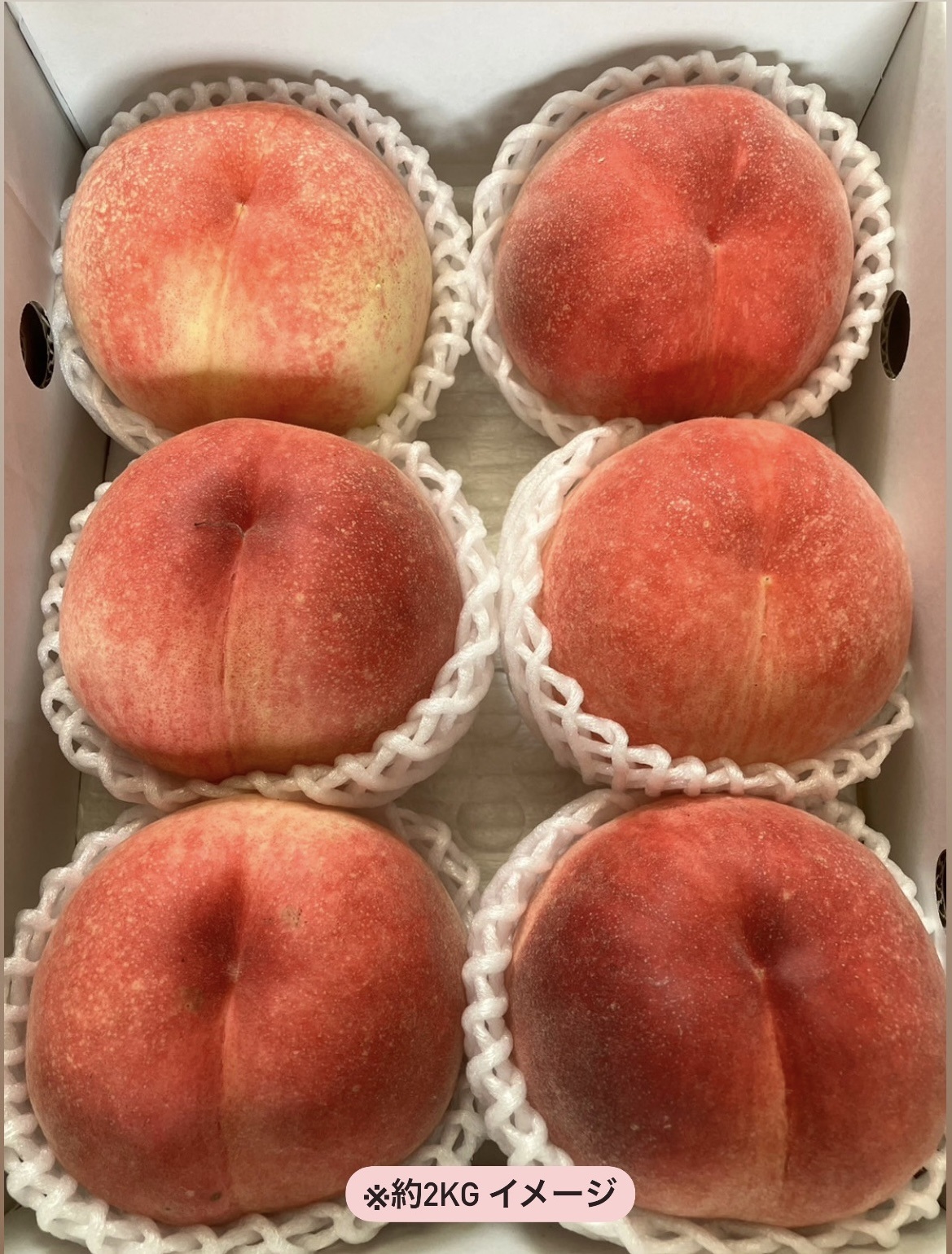 見た目が理由の訳あり桃 約2kg（5～9玉）【2026年発送】（HCF）A07-845