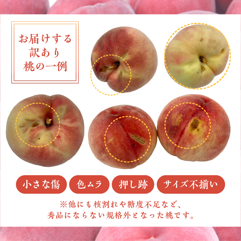 甲州市産 訳あり桃 約3kg（6～13玉）【2026年発送】（APX）B-198