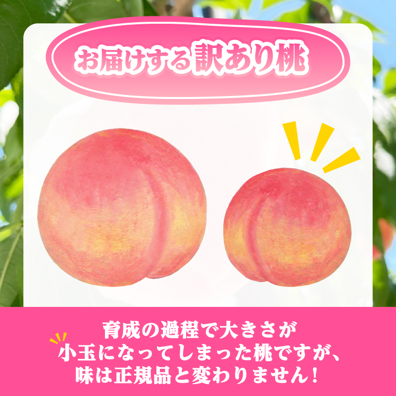 【訳あり】桃5～9玉2kg以上【2026年発送】（AGB）A09-876