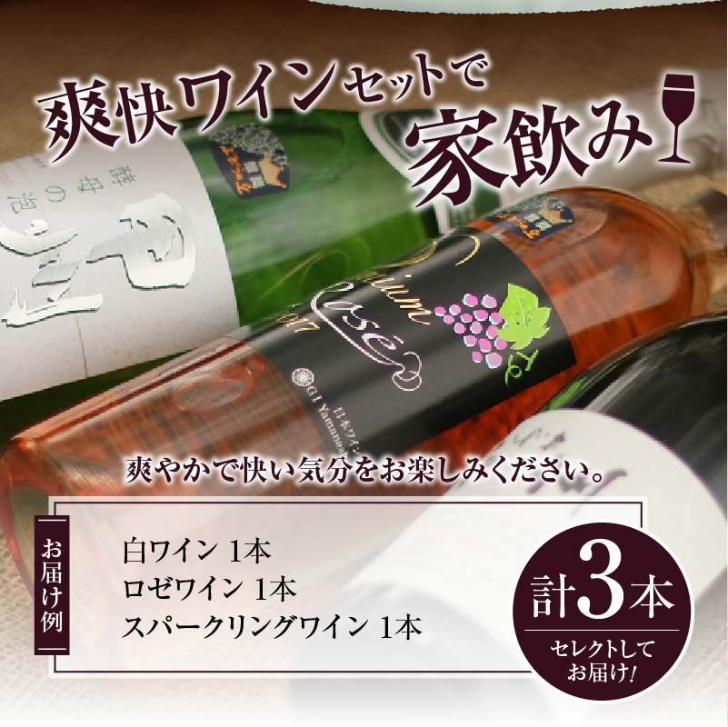 爽快ワイン3種セット C-662 （KBO）