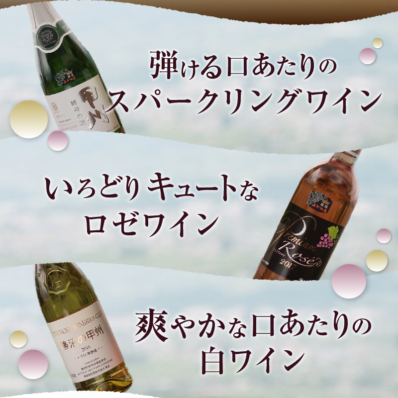 爽快ワイン6種セット E-603 （KBO）