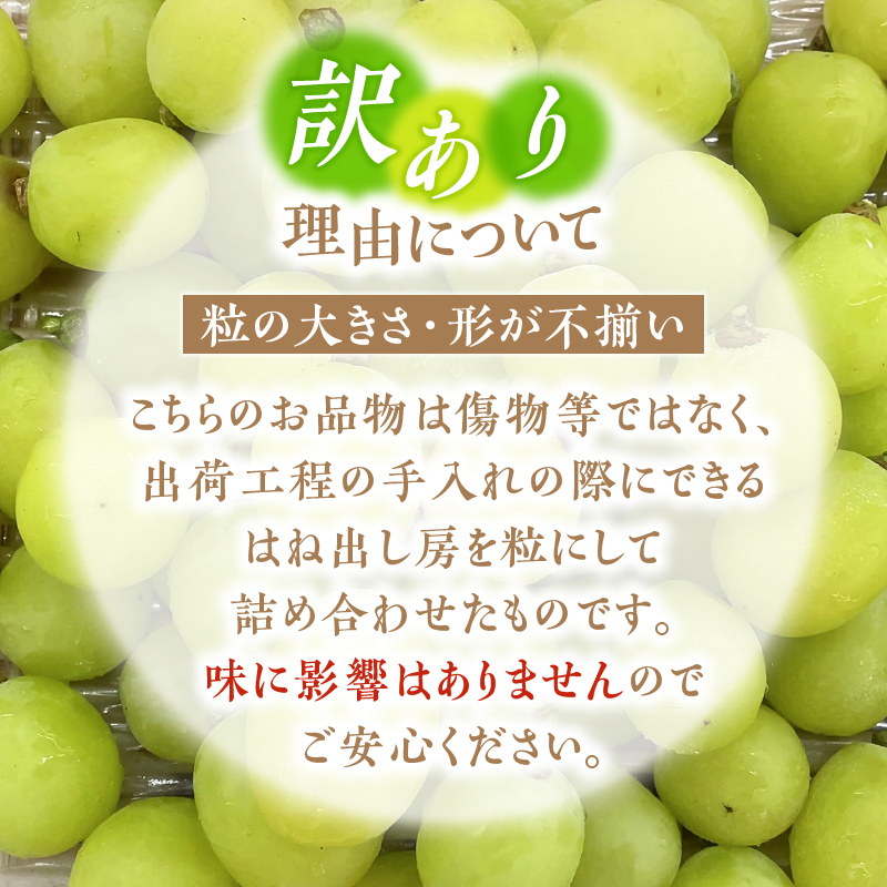 【訳あり】甲州市産シャインマスカットつぶつぶ 約1kg【2026年発送】（ATP）A09-821