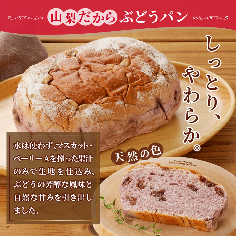 ご当地土産 山梨だからぶどうパン（MM）A04-331