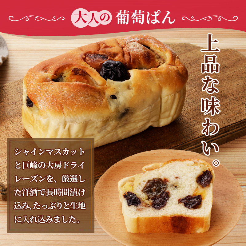 大人の葡萄ぱん（MM）A09-331