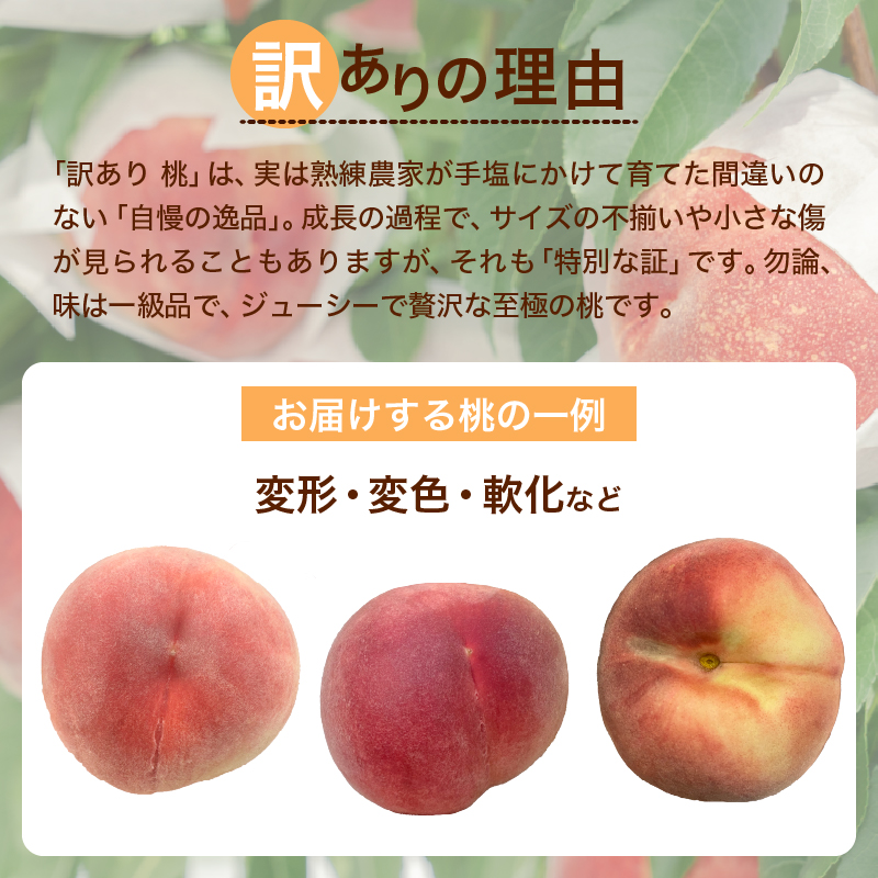 甲州市 訳あり 桃『味わえば一級品の美味しさ』約2kg 5～8玉【2026年発送】（SHP）B-458