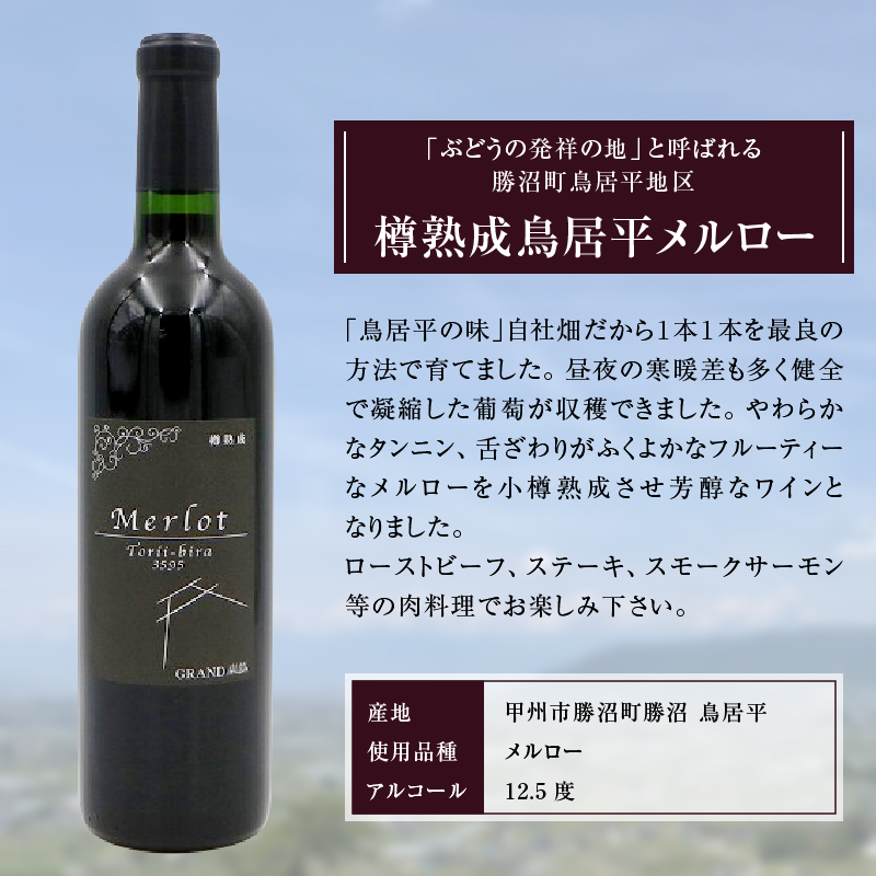 樽熟成鳥居平メルロー・赤ワイン・フルボディ C-668 （KBO）