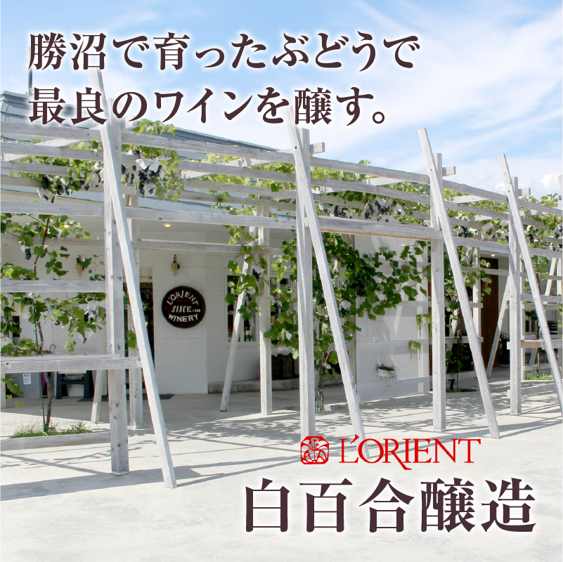 ロリアン 勝沼甲州【辛口】（LRT） B12-760