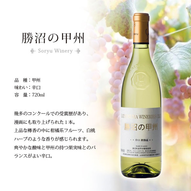 赤白ワイン2本セット（CKH）B15-770