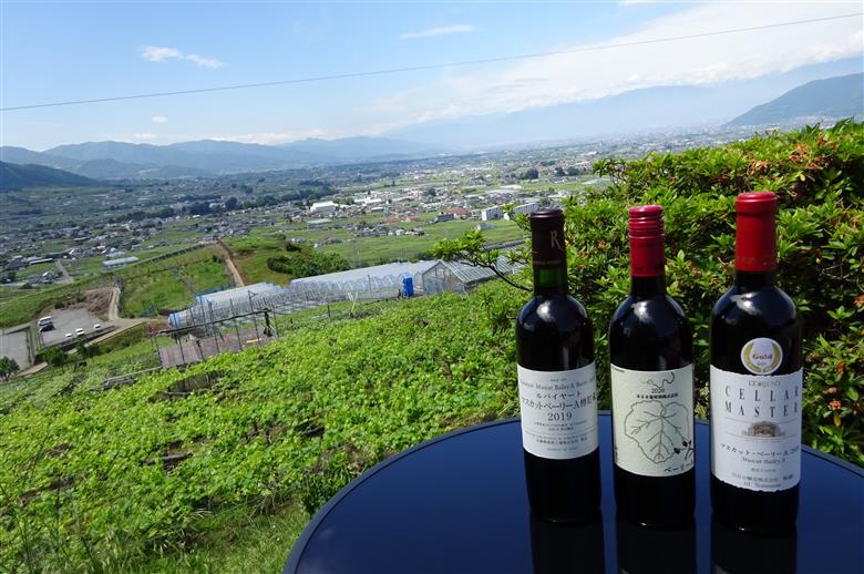 厳選ワイナリーの甲州ベーリーA赤白ワイン2本セット(MG)B2-660