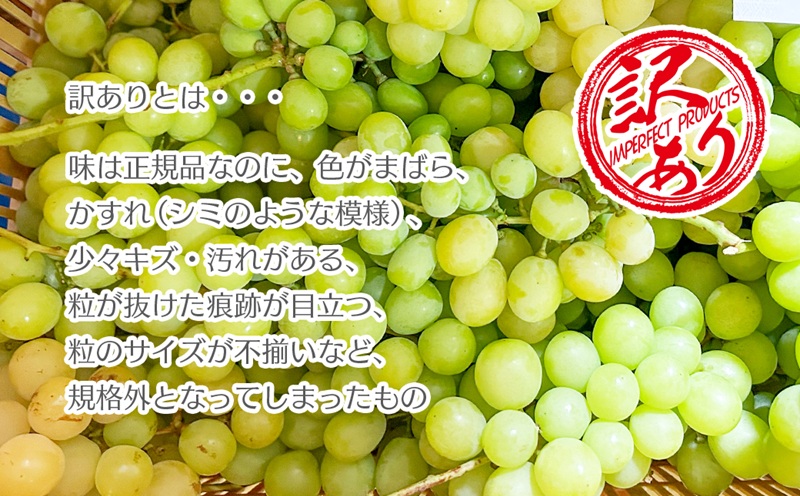 【クール配送】訳あり シャインマスカット 2～4房（約1kg）【2026年発送】（KFT）A08-1810