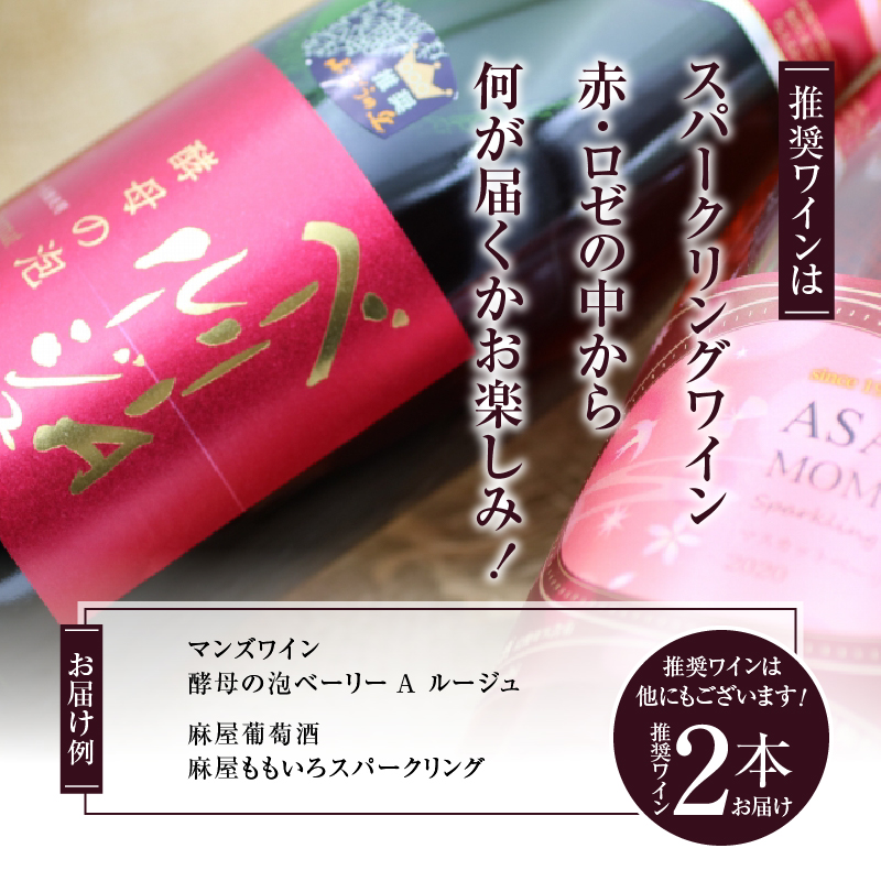 勝沼ぶどうの丘推奨 スパークリングワイン 赤＆ロゼ ２本セット（KBO）B2-655