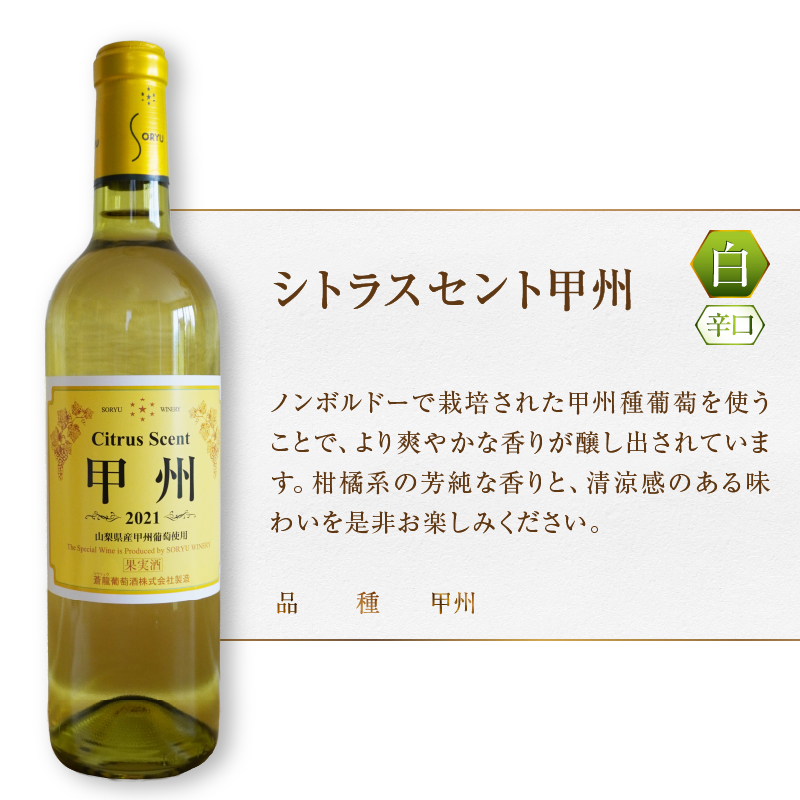 蒼龍葡萄酒『甲州ワイン』飲み比べ白ワイン２本セット(MG) B12-653