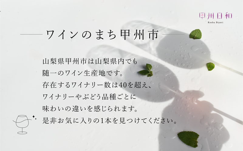 【定期便】甲州市ワイナリーおまかせワインたっぷり24本定期便（KSB）G98-601
