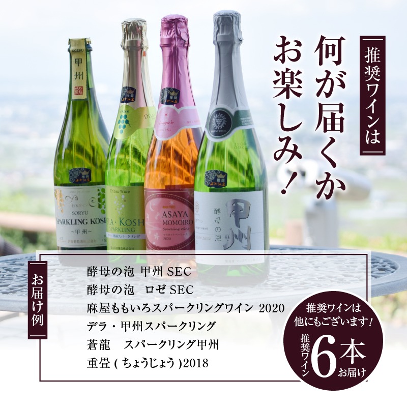 勝沼ぶどうの丘推奨スパークリングワイン6本セット（KBO）F-603