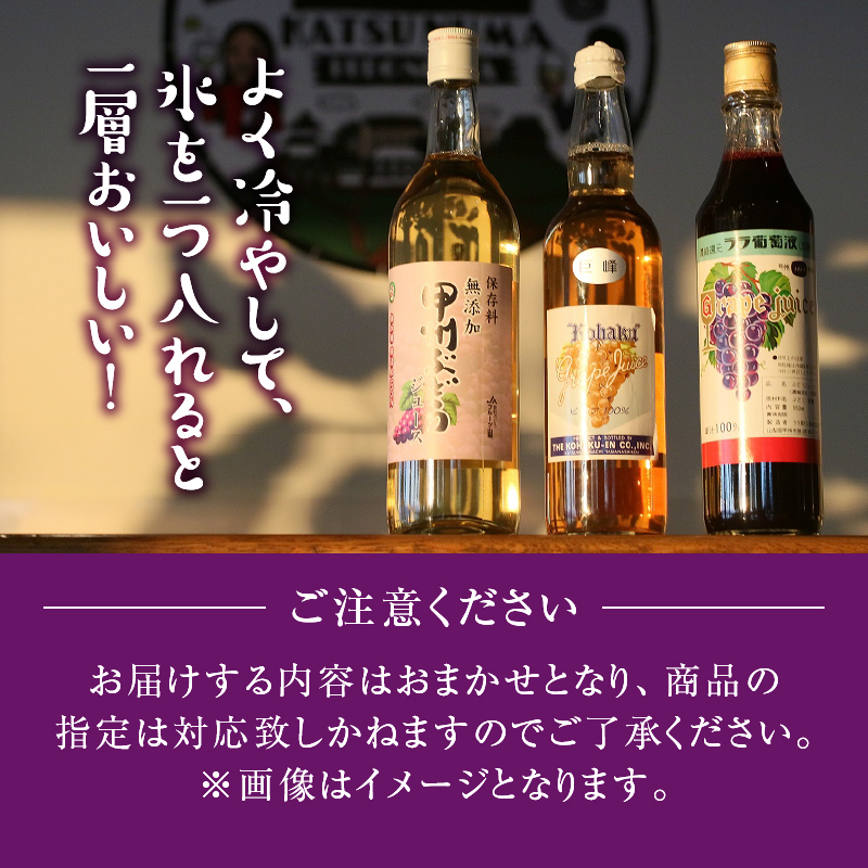 ぶどう果汁セット B-710 （KBO）