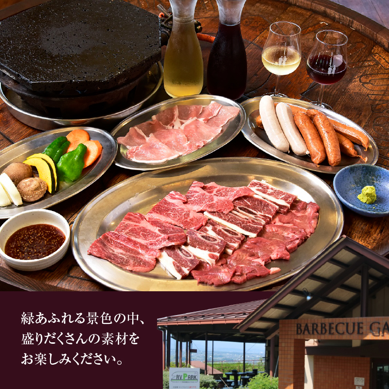 勝沼ぶどうの丘バーベキュー ペアお食事券（KBO）C-1302