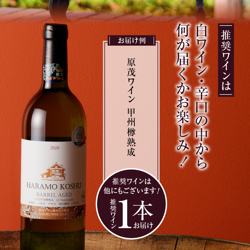 勝沼ぶどうの丘推奨 白ワイン（辛口）1本（KBO）B-652